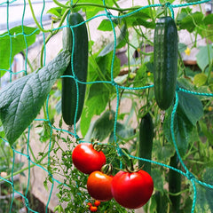 Outdoor Garden Trellis Netting for Climbing Plants