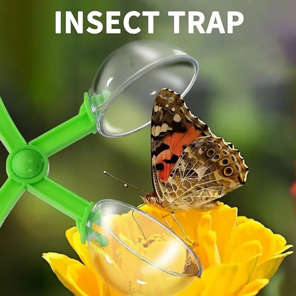 Exploration Tools Set for Kids Bug Catching Science Learning