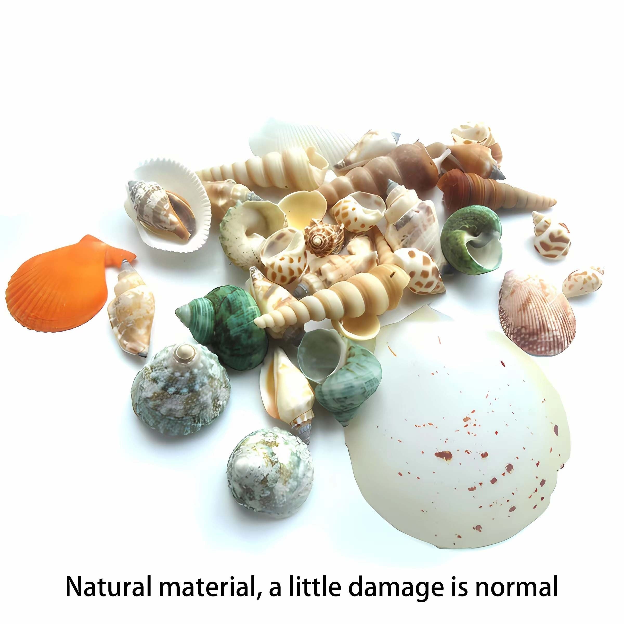 150g Shell Conch Fish Tank Aquarium Ornaments