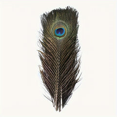 15pcs Peacock Eye Feathers 25-30-48 Cm Holiday Party Table Decorations