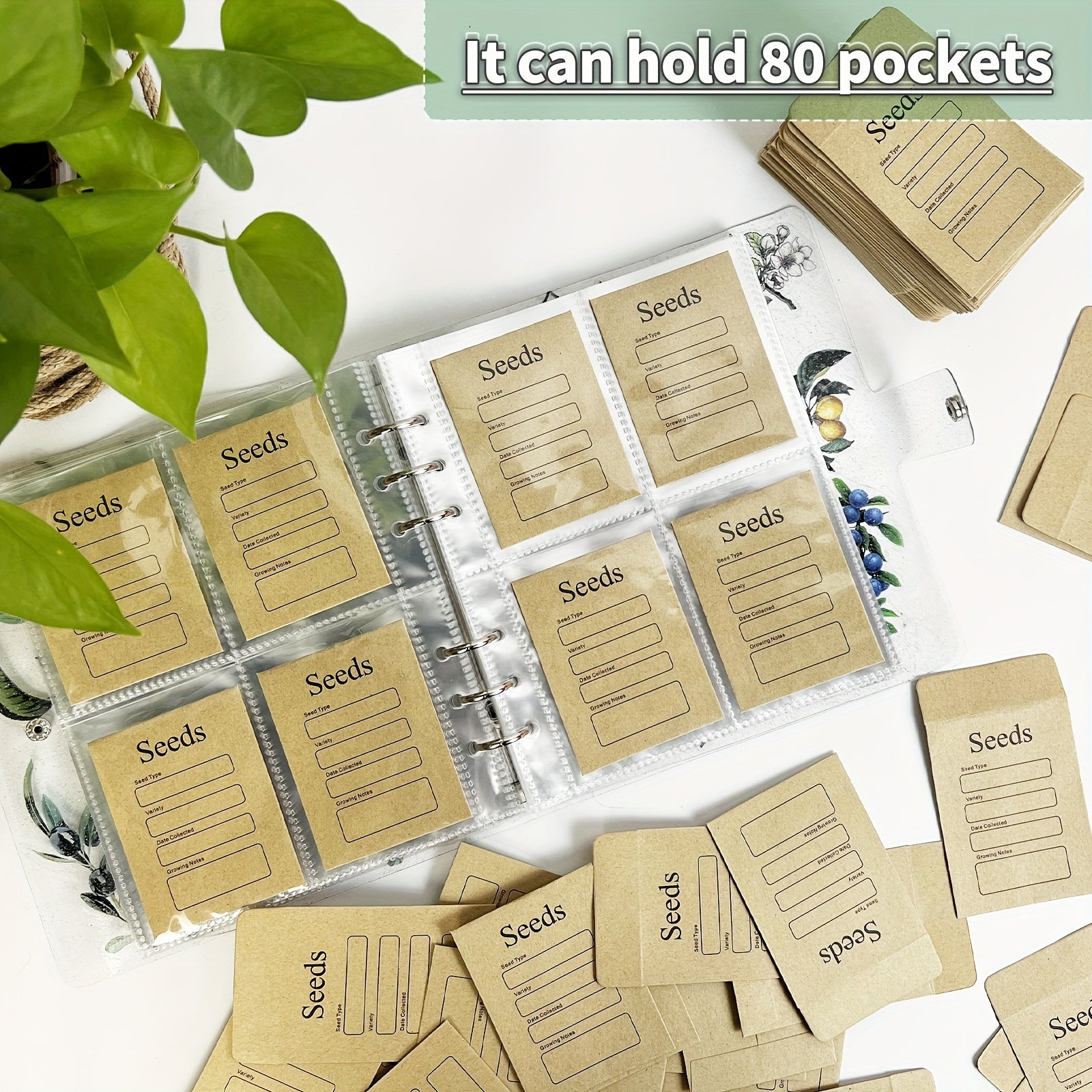 Seed Storage Organizers Resealable Self Sealing Seed Envelopes