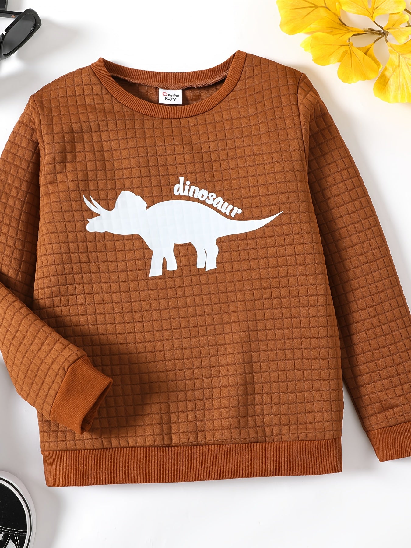 Dinosaur Print Boys Casual Pullover Sweatshirt Long Sleeve Crew Neck Tops