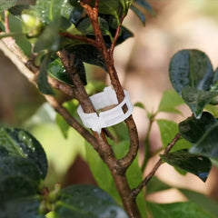 Plastic Plant Clips Supports for Vegetable Tomato Gardening