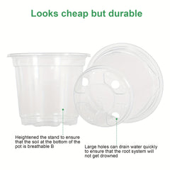 30 Clear Nursery Pots with Humidity Domes 10-16 cm - Seed Starter Pots