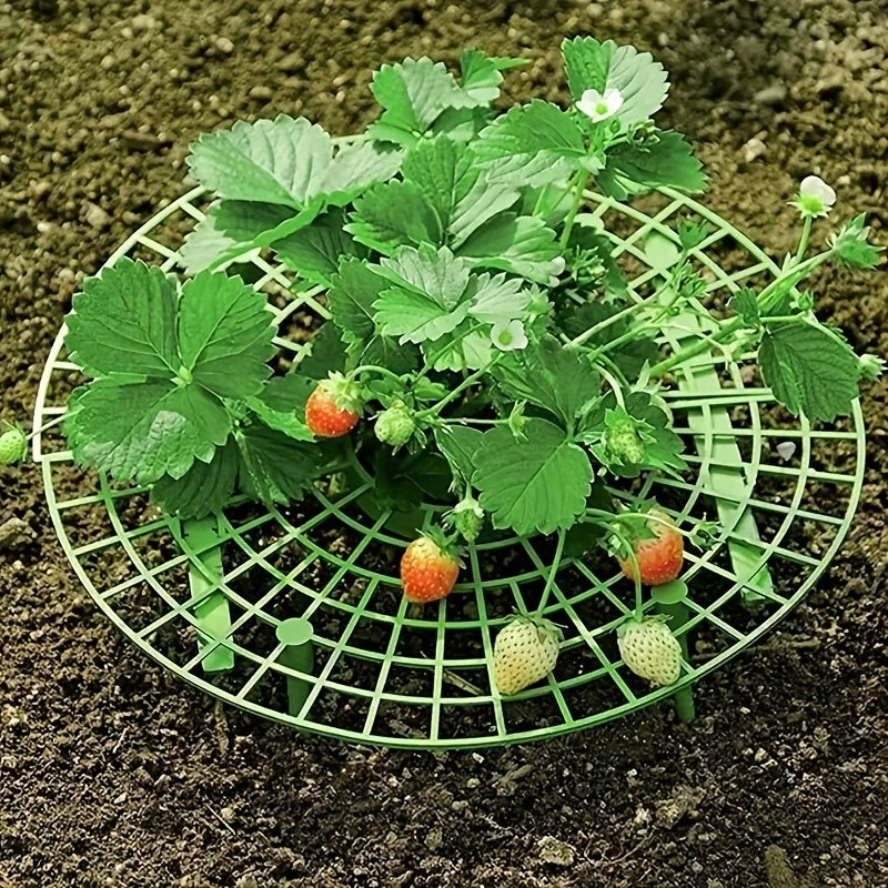 3pcs Strawberry Tray Holder Anti-overturning Plant Support