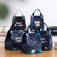 Cute Insulated Lunch Bag for Kids, Leakproof Cartoon Theme