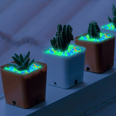 50PCS Luminous Resin Stones for Garden and Fish Tank