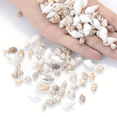 50Pcs Multicolor Conch Shell Beads for Jewelry Making DIY