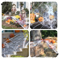 Halloween Spider Web Decoration