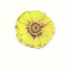 25 Sheets 3D Flower Stickers - Office, Study, Home Decoration