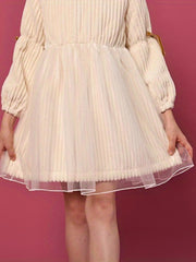 Vintage Style Velvet Long Sleeve Tutu Dress