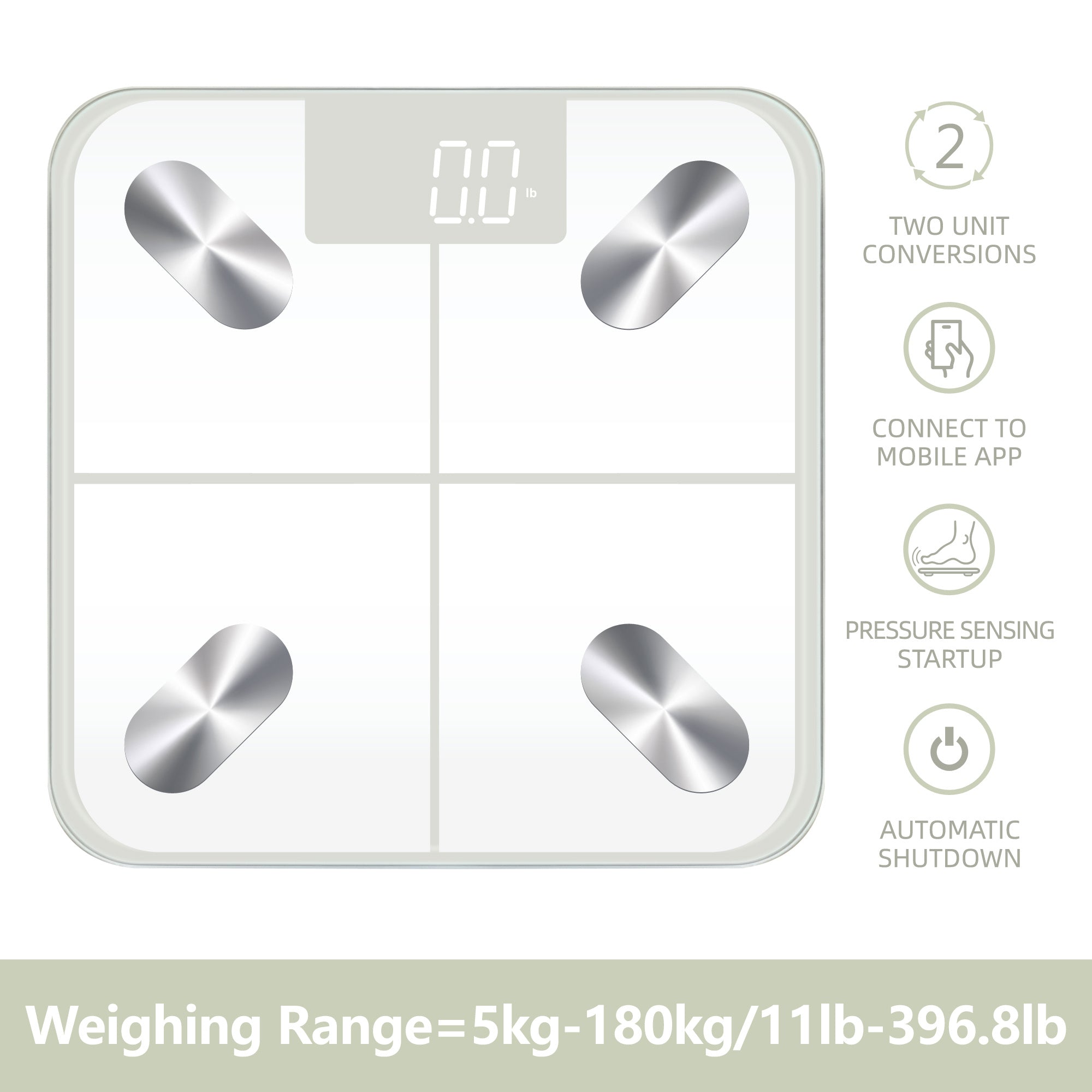 Smart Body Fat Scale Digital Bathroom Scale with Smartphone App