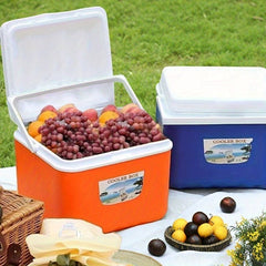 Portable Insulated Cooler Box with Lid and Handle Leakproof Fabric