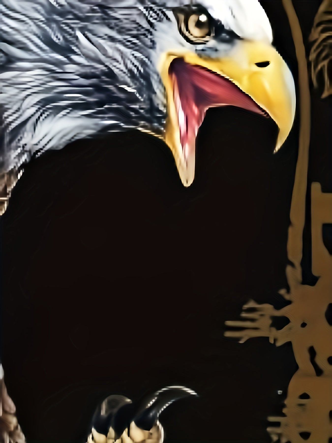 Men's Eagle Print Hoodie Graphic Sweatshirt Pullover