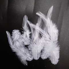 10pcs Artificial Chicken Feathers DIY Crafts Hats Bows Wall Decorations