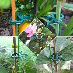 20pcs Plant Grafting Clips - Greenhouse Clamp Fastener Bracket