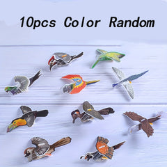 Bird 3D Educational Toy Children's Novelty Stress Relief Gift