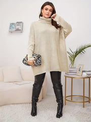  Ribbed Turtle Neck Pullover Sweater