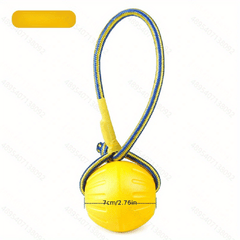 Durable Dog Chew Toy with Rope for Interactive Play and Training