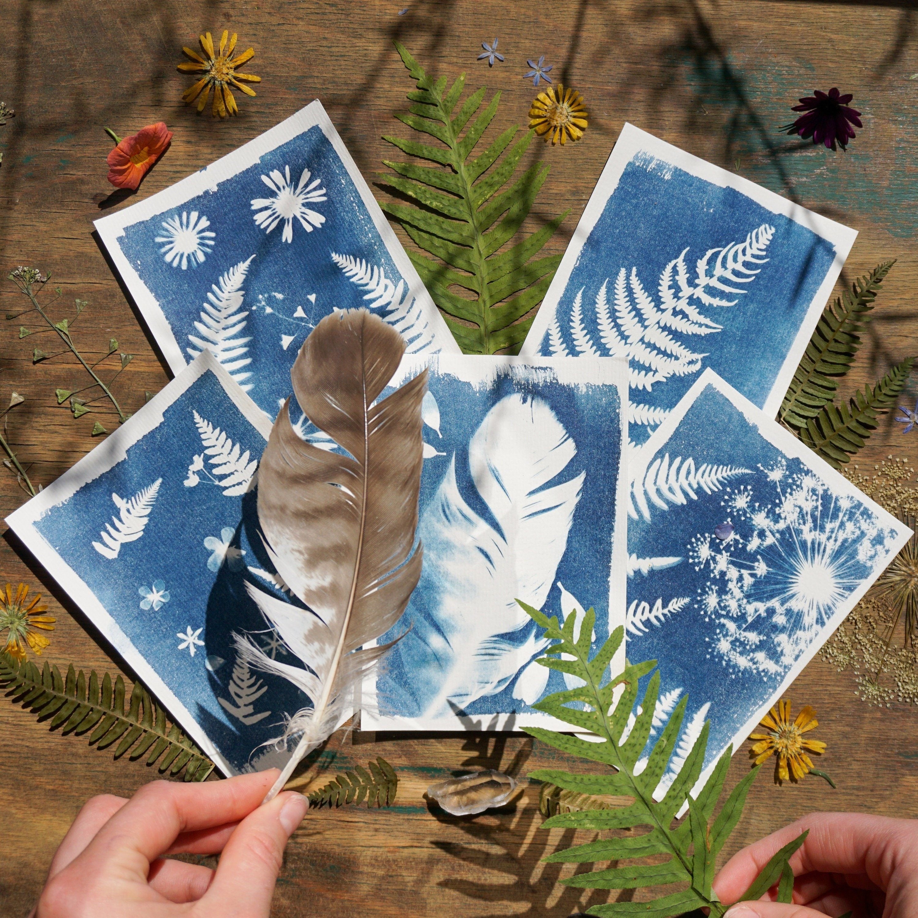 Cyanotype Material Package Set with Sun Paper Tools 14x21 cm
