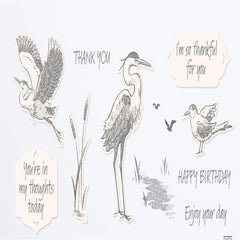 Bird Metal Cutting Dies and Stamps for Scrapbook Designs