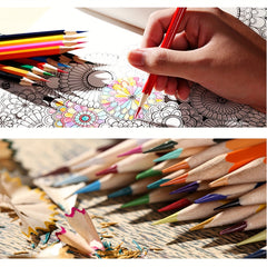 Vibrant Colored Pencils Set for Art Drawing