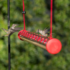 Decorative Hummingbird Water Feeder Stake