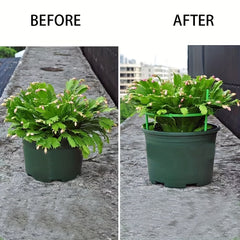 Plant Support Cages for Tomatoes Cucumbers Flowers Fruits