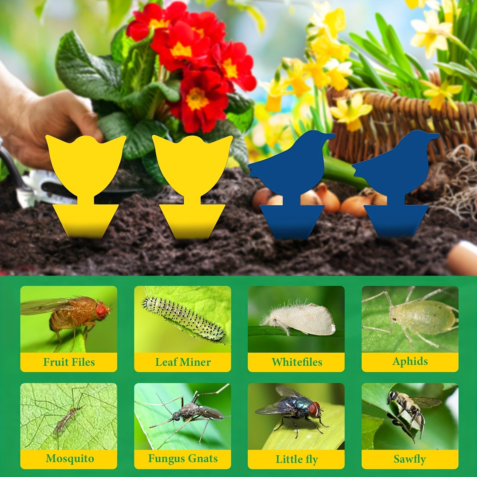 24pcs Yellow Fly Catchers Adhesive Trap for Fruit Flies