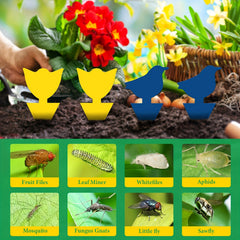 24pcs Yellow Fly Catchers Adhesive Trap for Fruit Flies
