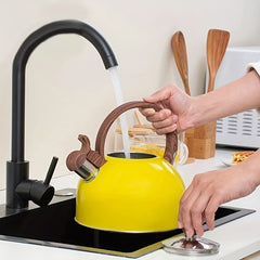 Stainless Steel Whistling Kettle for Camping