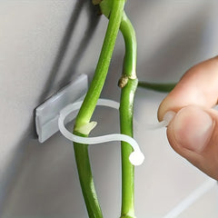 10pcs Self Adhesive Garden Wall Plant Clips for Climbing Vines