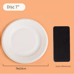 Eco Sugarcane Paper Plates, 17-Pack