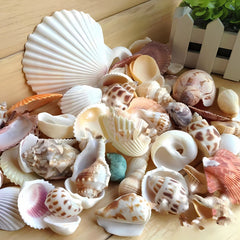 150g Shell Conch Fish Tank Aquarium Ornaments