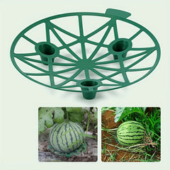 Reusable Plant Supports for Healthy Melons - Prevent Rot