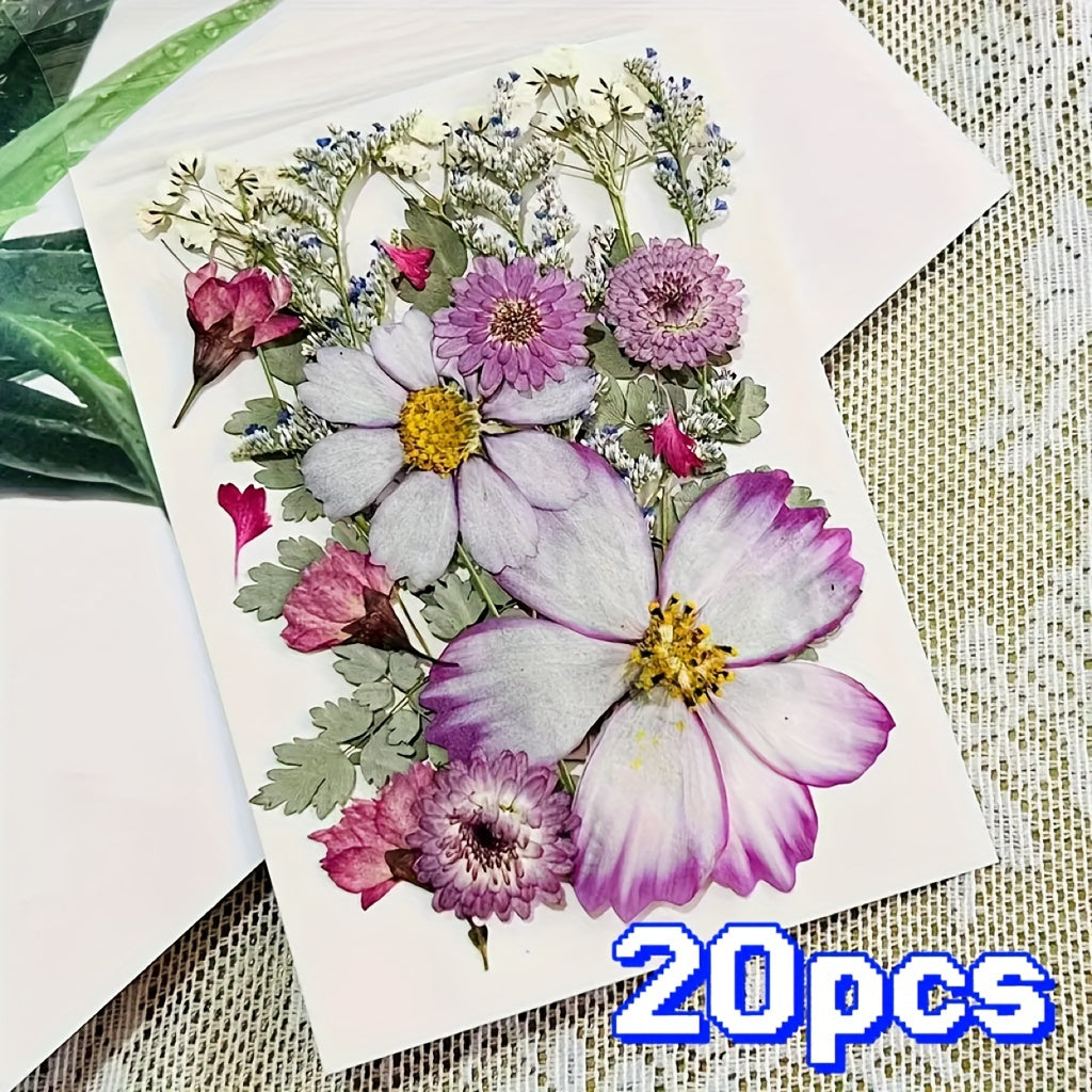 20pcs Dried Flower DIY Craft Kit - Wall Art, Photo Frames, Books