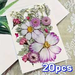 20pcs Dried Flower DIY Craft Kit - Wall Art, Photo Frames, Books