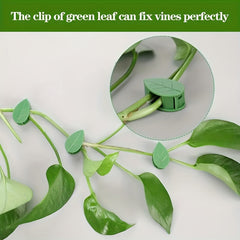 10pcs Self Adhesive Garden Wall Plant Clips for Climbing Vines