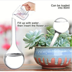 5pcs Globular Self Watering System for Plants