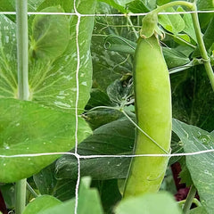 Heavy Duty 5x15ft Garden Trellis Netting
