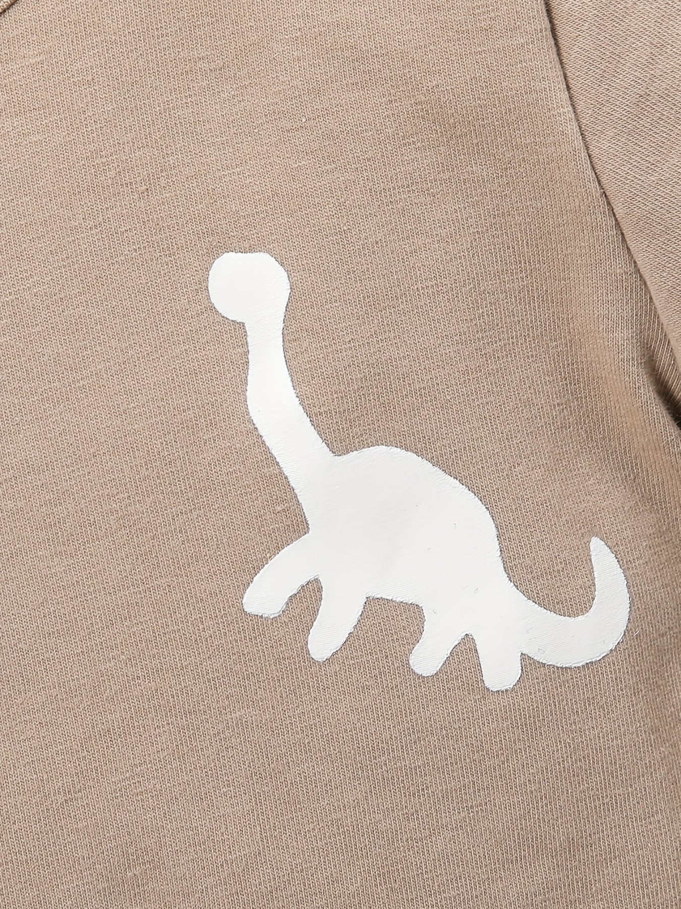Dinosaur Graphic Tee And Shorts Set for Boys