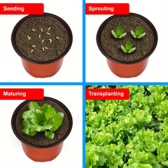 50pcs Plastic Planter Pots for Indoor and Outdoor Plants Lightweight Durable