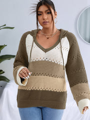  Colorblock Eyelet Embroidered Hooded Sweater