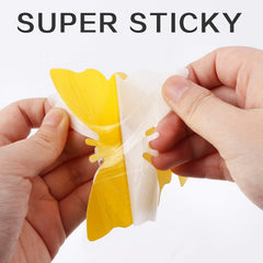 Non-Toxic Yellow Sticky Bug Traps for Indoor and Outdoor Use