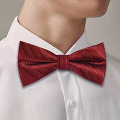 Men's Casual Business Bow Tie for Party Wedding