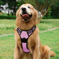 Adjustable No Pull Dog Harness with Padded Vest - Comfortable Walking Experience