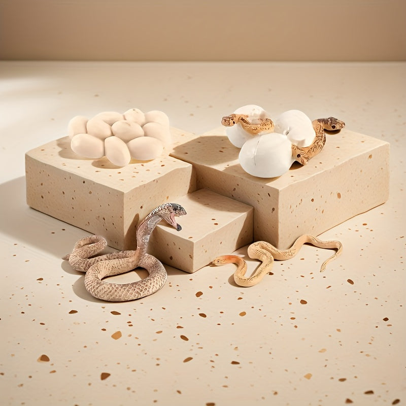 Snake Growth Cycle Sensory Toy with Habitat