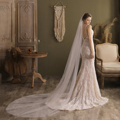 Women's Long Tulle Wedding Veil with Tiaras Sheer Flowing Train