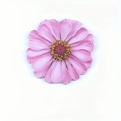 25 Sheets 3D Flower Stickers - Office, Study, Home Decoration