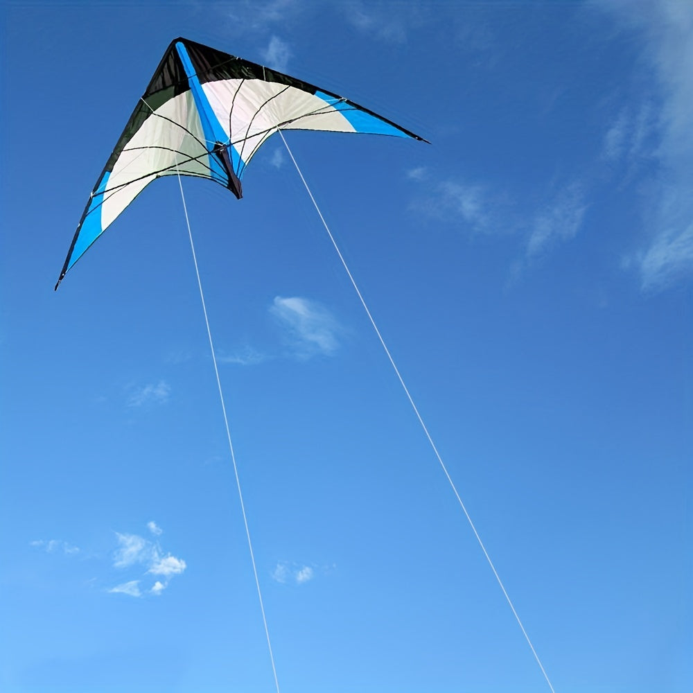 Exciting Kite Flying - Outdoor Fun with Kite & Handle